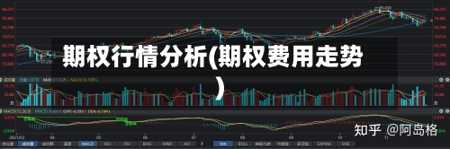 期权行情分析(期权费用走势)-第2张图片