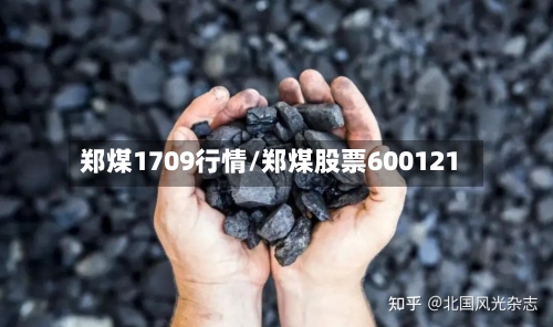 郑煤1709行情/郑煤股票600121-第2张图片