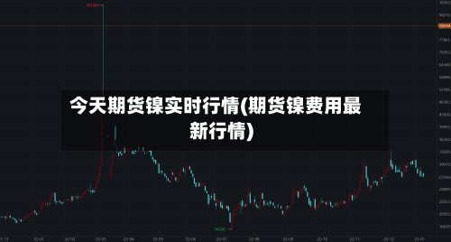 今天期货镍实时行情(期货镍费用最新行情)