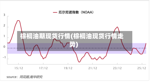 棕榈油期现货行情(棕榈油现货行情走势)-第2张图片