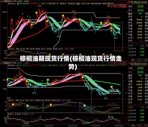 棕榈油期现货行情(棕榈油现货行情走势)