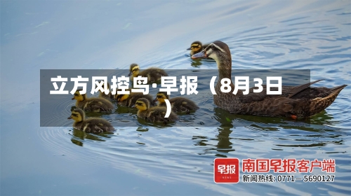 立方风控鸟·早报（8月3日）
