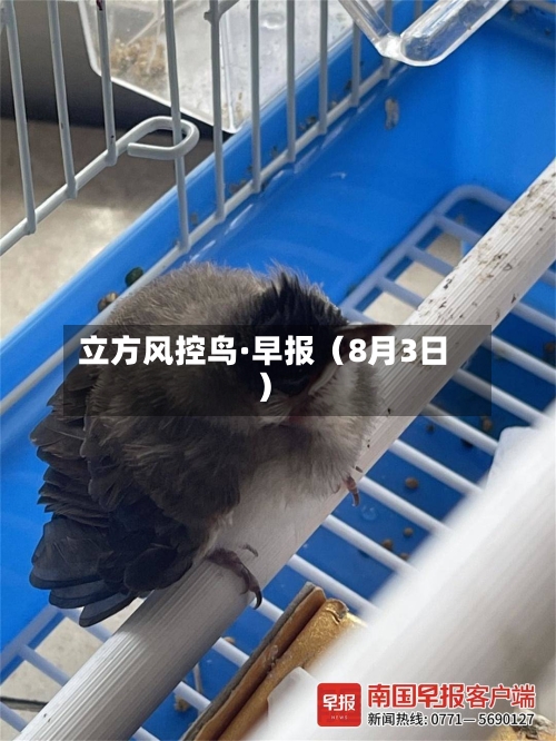 立方风控鸟·早报（8月3日）-第2张图片