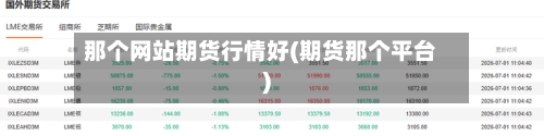 那个网站期货行情好(期货那个平台)-第2张图片