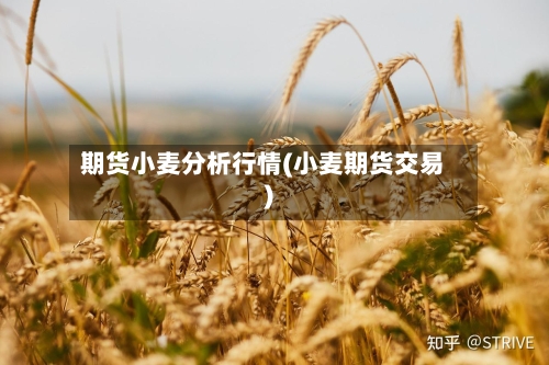 期货小麦分析行情(小麦期货交易)