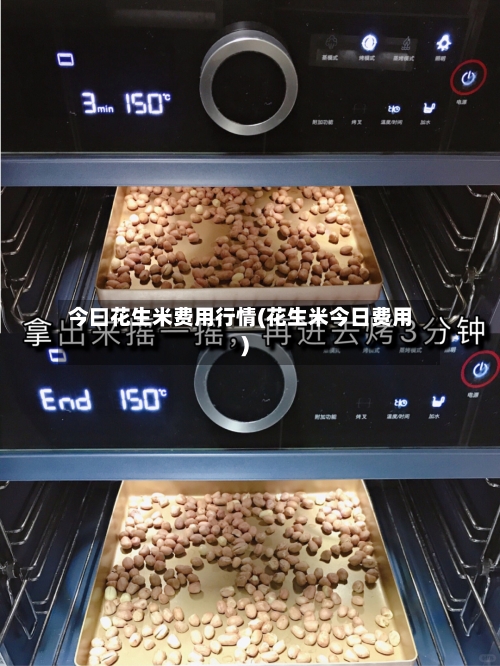 今曰花生米费用行情(花生米今日费用)