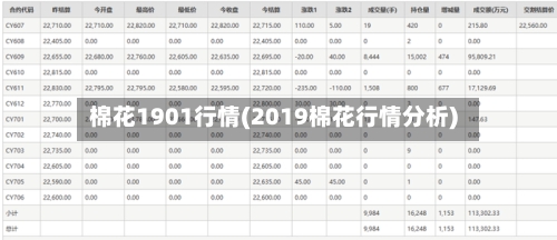 棉花1901行情(2019棉花行情分析)