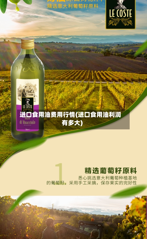 进口食用油费用行情(进口食用油利润有多大)-第3张图片