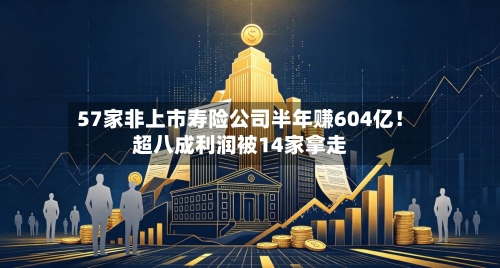 57家非上市寿险公司半年赚604亿!超八成利润被14家拿走-第3张图片