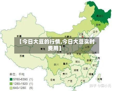 【今日大豆的行情,今日大豆实时费用】