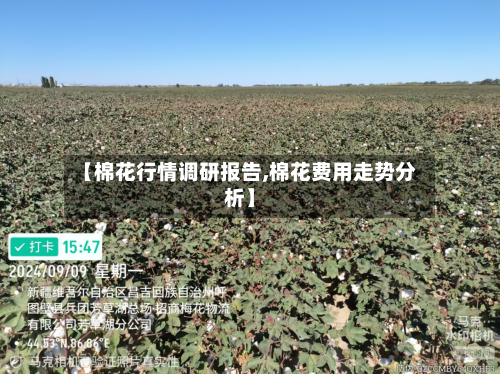 【棉花行情调研报告,棉花费用走势分析】-第2张图片