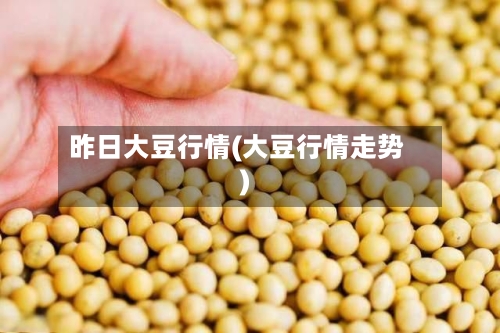 昨日大豆行情(大豆行情走势)