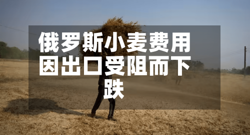 俄罗斯小麦费用
因出口受阻而下跌-第2张图片