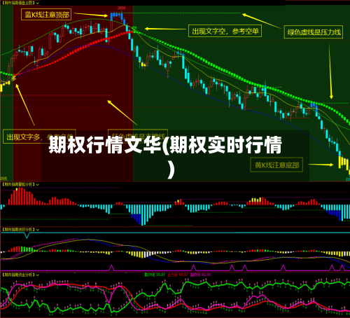 期权行情文华(期权实时行情)-第2张图片