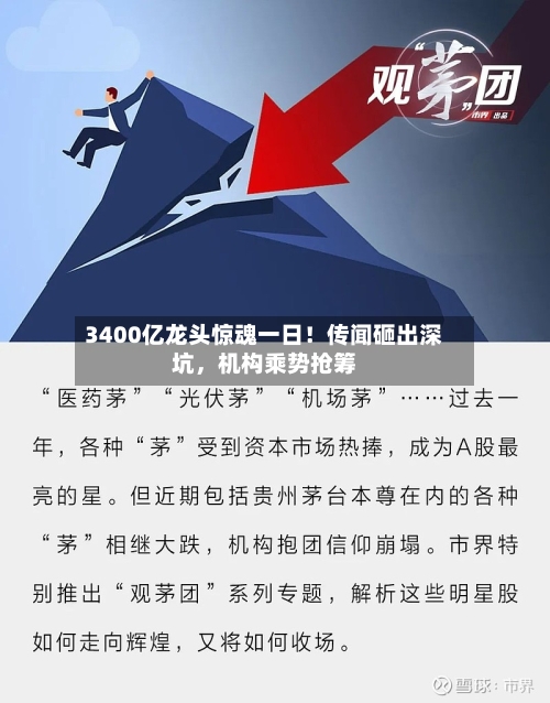 3400亿龙头惊魂一日！传闻砸出深坑	，机构乘势抢筹-第2张图片