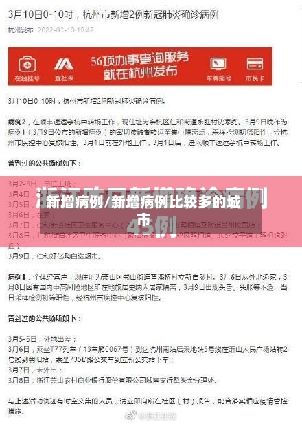 新增病例/新增病例比较多的城市
