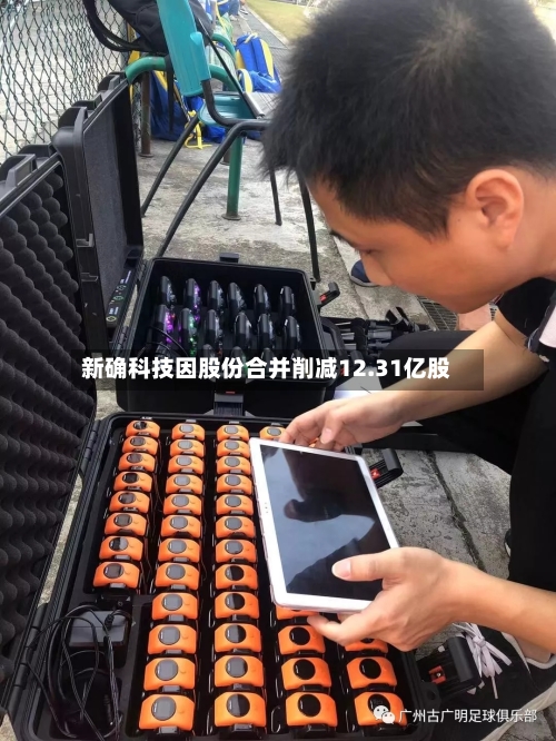 新确科技因股份合并削减12.31亿股-第1张图片