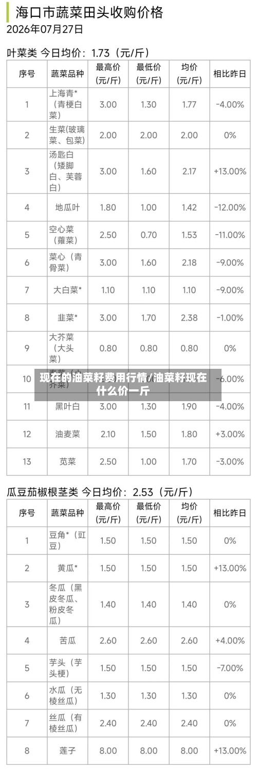 现在的油菜籽费用行情/油菜籽现在什么价一斤-第3张图片