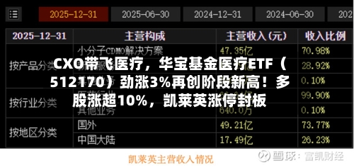 CXO带飞医疗，华宝基金医疗ETF（512170）劲涨3%再创阶段新高！多股涨超10%，凯莱英涨停封板
