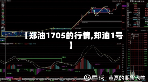 【郑油1705的行情,郑油1号】-第3张图片