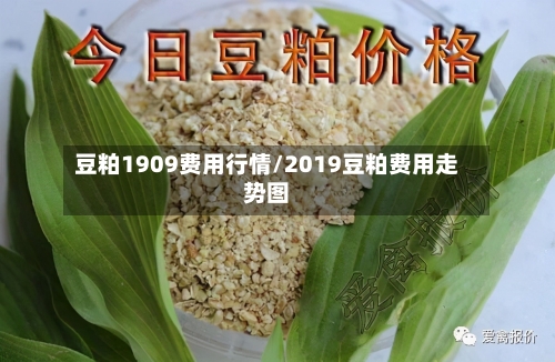 豆粕1909费用行情/2019豆粕费用走势图