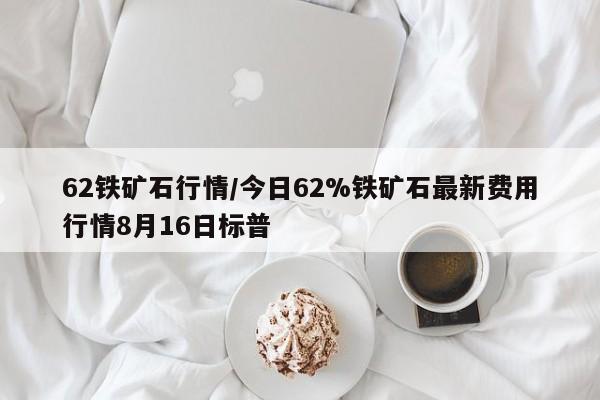 62铁矿石行情/今日62%铁矿石最新费用行情8月16日标普