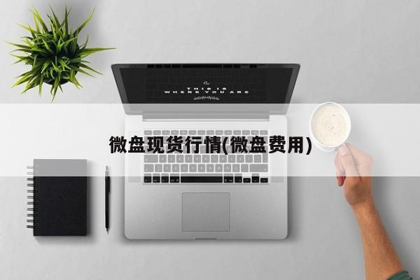 微盘现货行情(微盘费用)