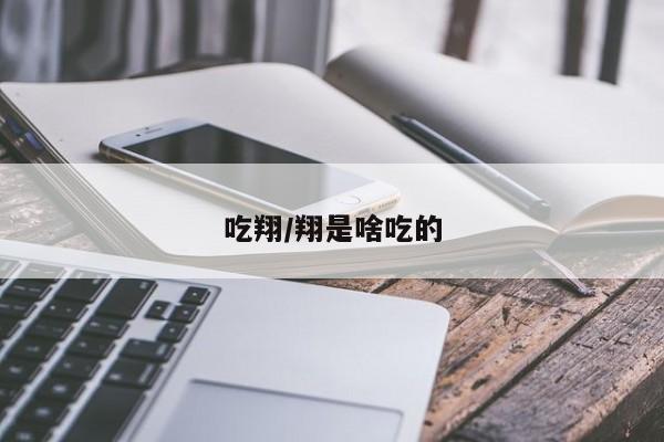 吃翔/翔是啥吃的