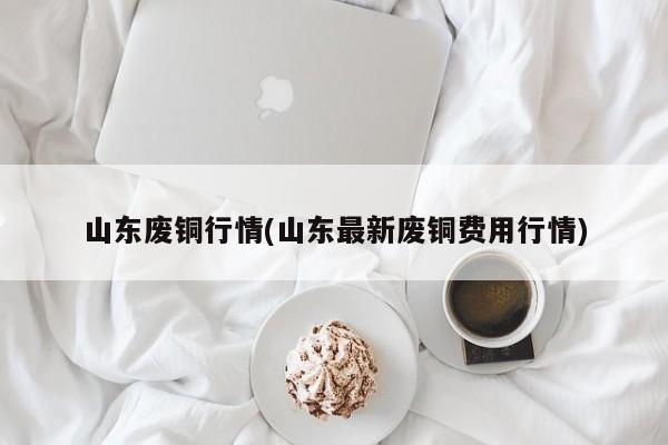 山东废铜行情(山东最新废铜费用行情)