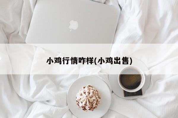 小鸡行情咋样(小鸡出售)