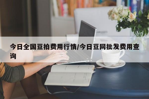 今日全国豆拍费用行情/今日豆网批发费用查询