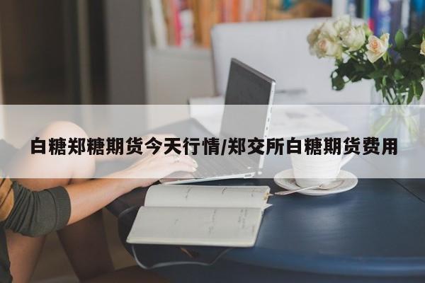 白糖郑糖期货今天行情/郑交所白糖期货费用