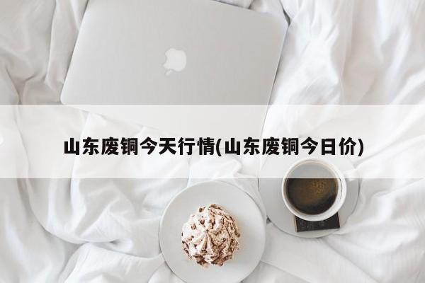 山东废铜今天行情(山东废铜今日价)