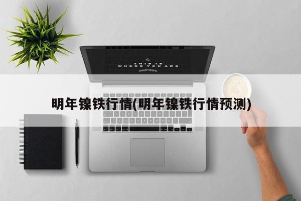 明年镍铁行情(明年镍铁行情预测)