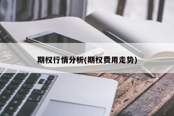 期权行情分析(期权费用走势)