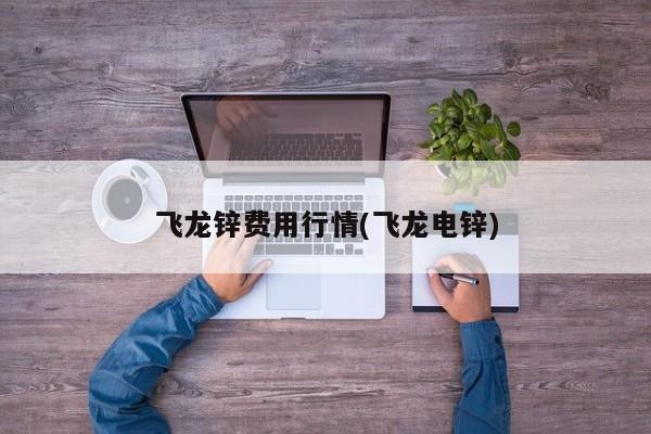 飞龙锌费用行情(飞龙电锌)