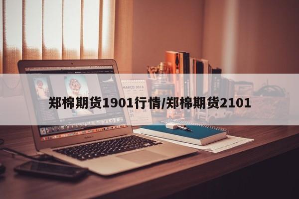 郑棉期货1901行情/郑棉期货2101