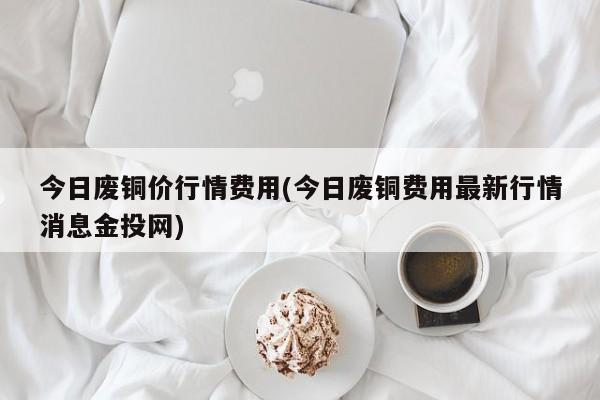 今日废铜价行情费用(今日废铜费用最新行情消息金投网)