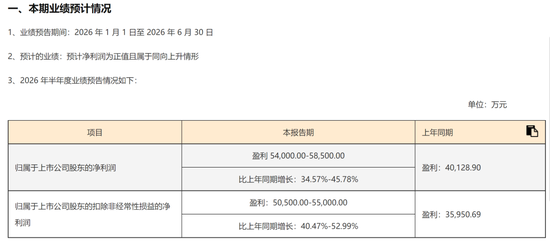 A股罕见！周六	，5家创业板公司发布业绩预告！301536，净利预增约6倍